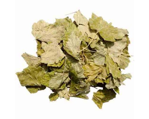 Смородина лист сушеный (упаковка 50 грамм)